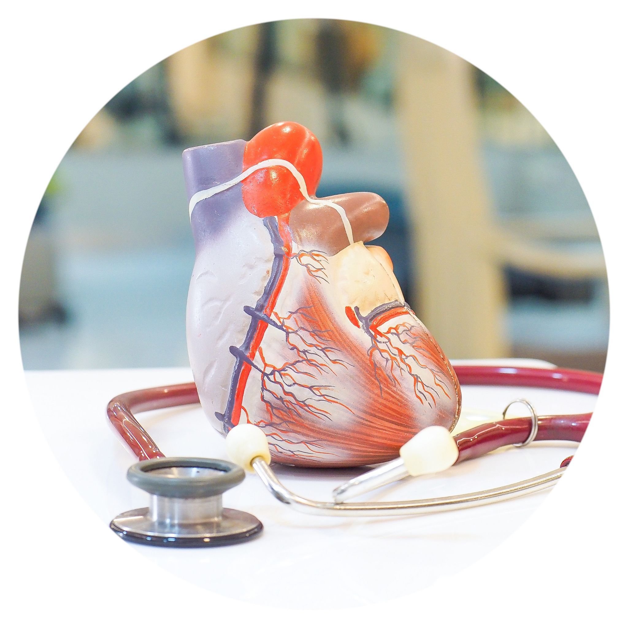 Cardiac Rehabilitation